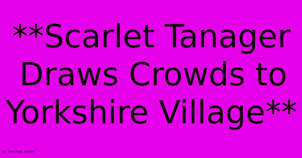 **Scarlet Tanager Draws Crowds To Yorkshire Village**