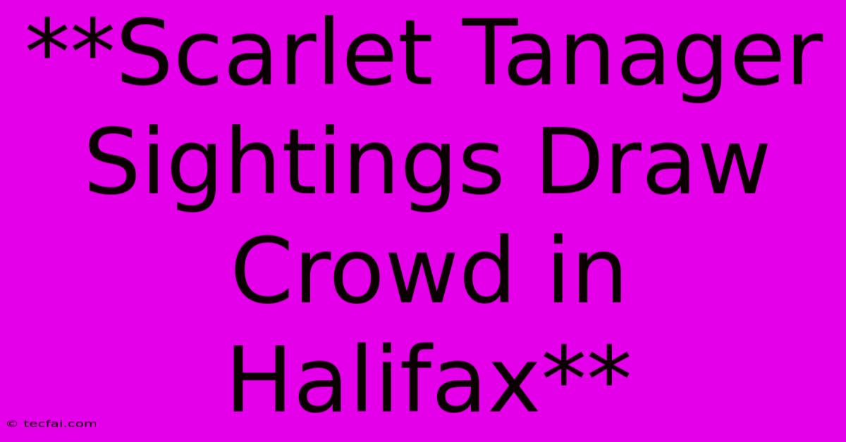 **Scarlet Tanager Sightings Draw Crowd In Halifax**