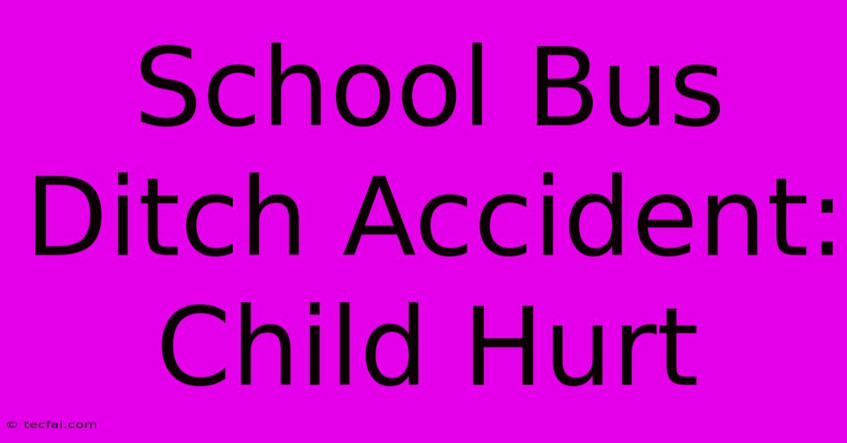 School Bus Ditch Accident: Child Hurt