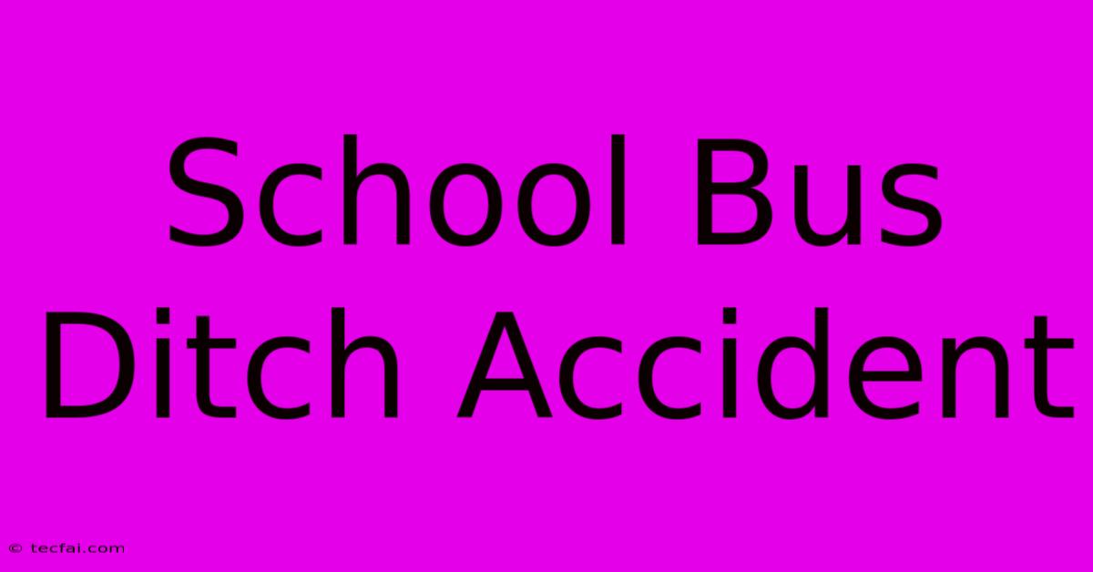 School Bus Ditch Accident