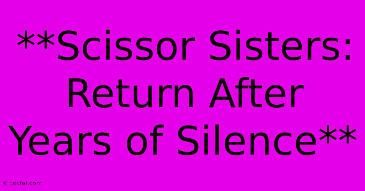 **Scissor Sisters: Return After Years Of Silence** 