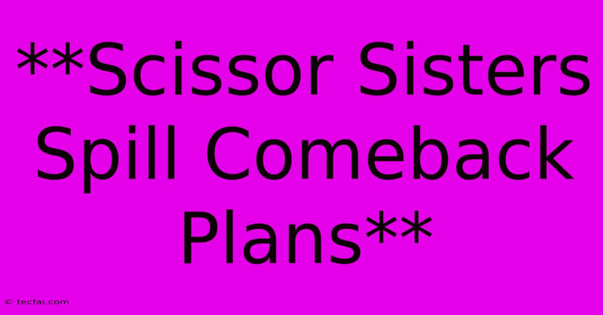 **Scissor Sisters Spill Comeback Plans**