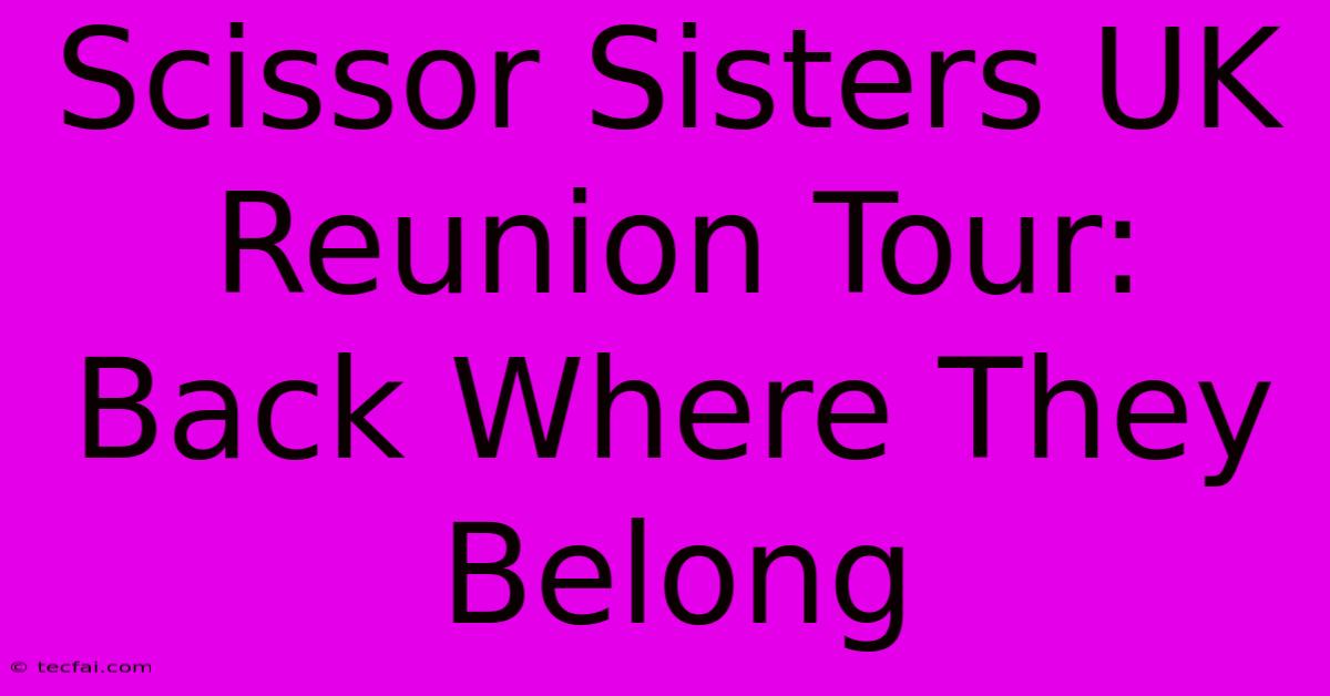 Scissor Sisters UK Reunion Tour: Back Where They Belong