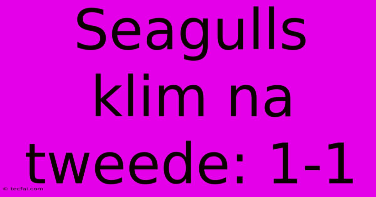 Seagulls Klim Na Tweede: 1-1