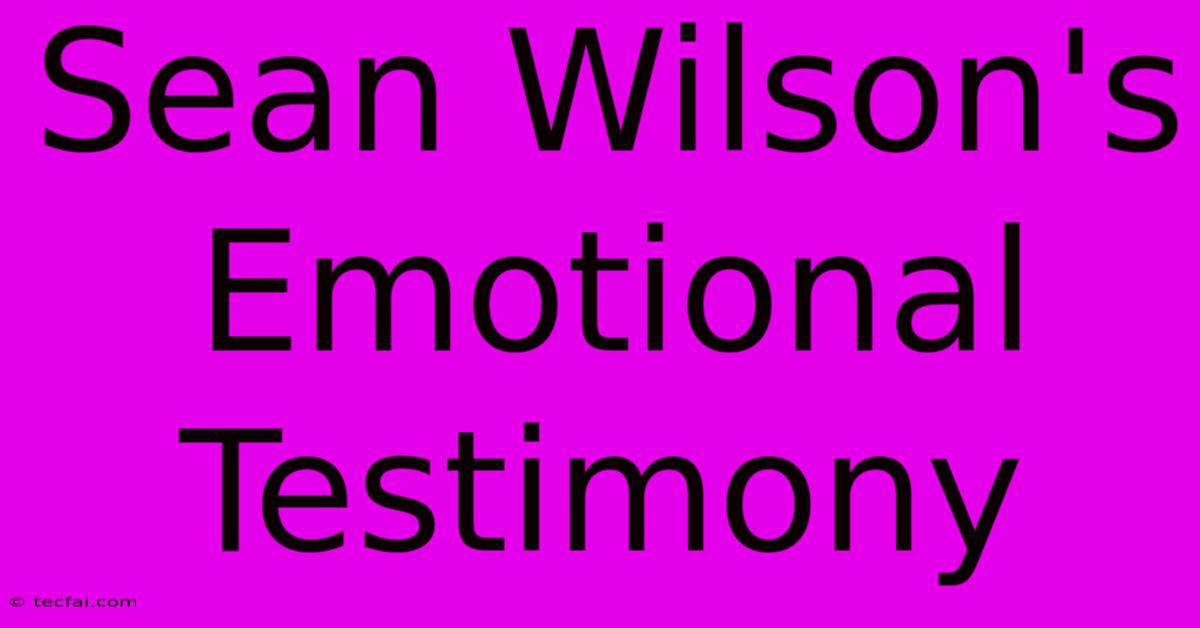 Sean Wilson's Emotional Testimony