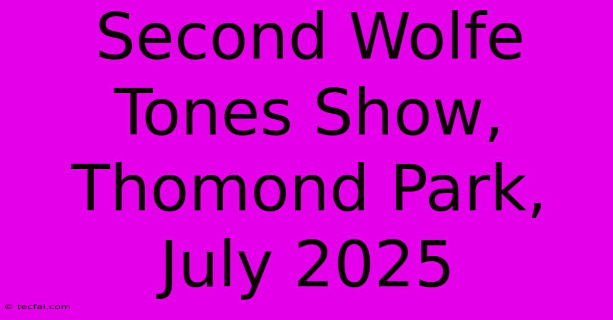 Second Wolfe Tones Show, Thomond Park, July 2025