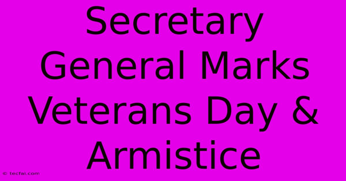 Secretary General Marks Veterans Day & Armistice 