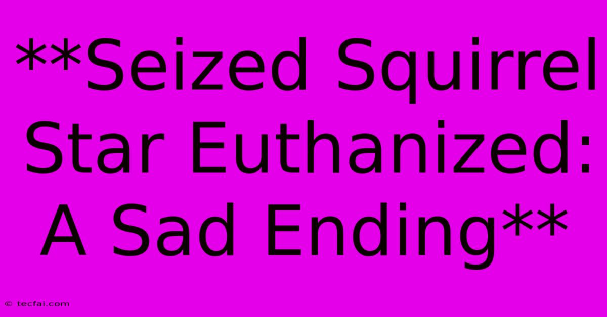 **Seized Squirrel Star Euthanized: A Sad Ending**