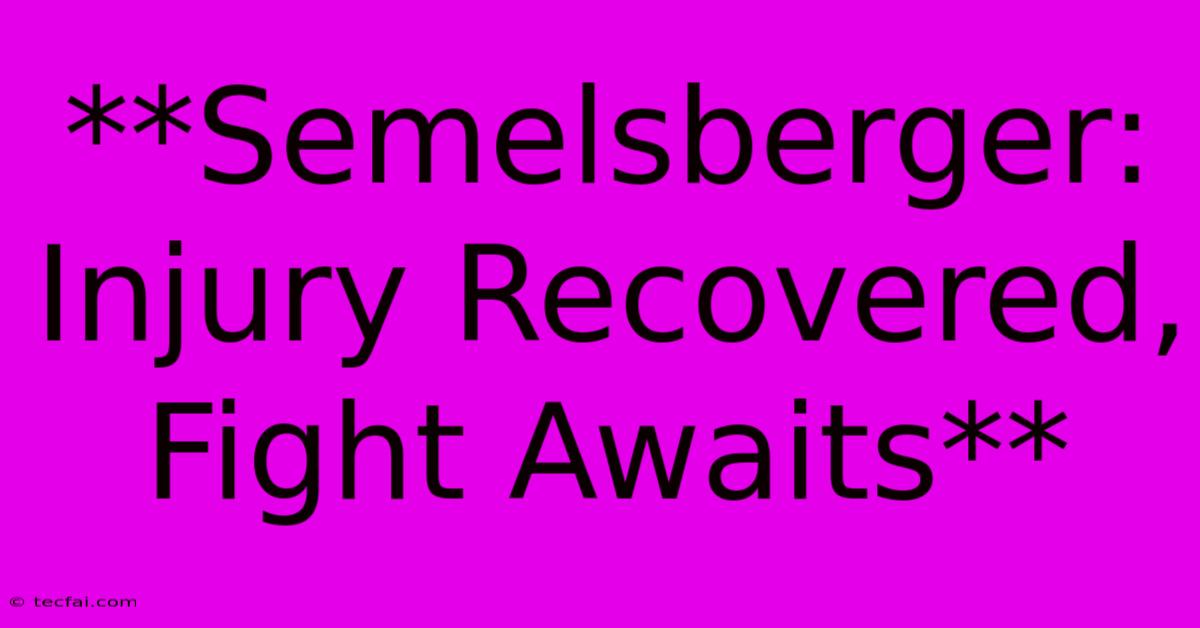 **Semelsberger: Injury Recovered, Fight Awaits**