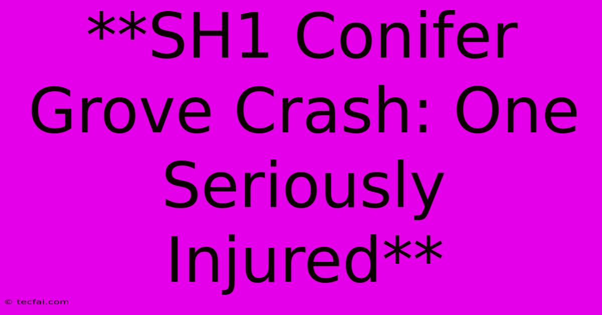 **SH1 Conifer Grove Crash: One Seriously Injured**