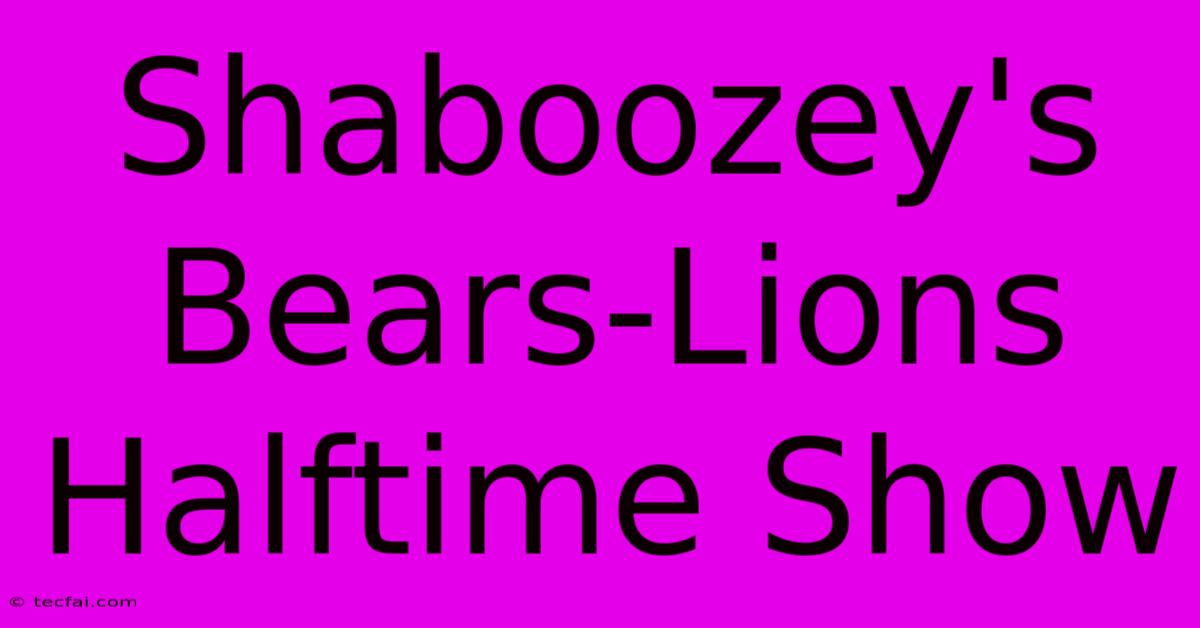 Shaboozey's Bears-Lions Halftime Show