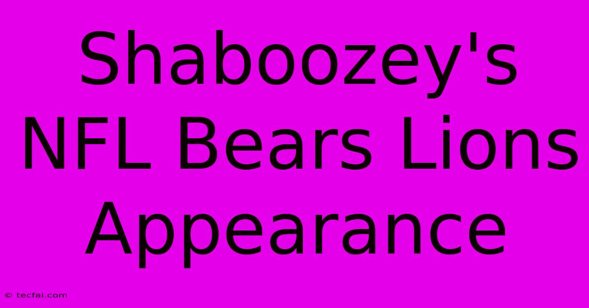 Shaboozey's NFL Bears Lions Appearance