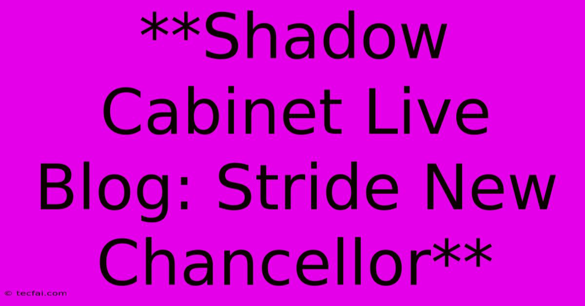 **Shadow Cabinet Live Blog: Stride New Chancellor**