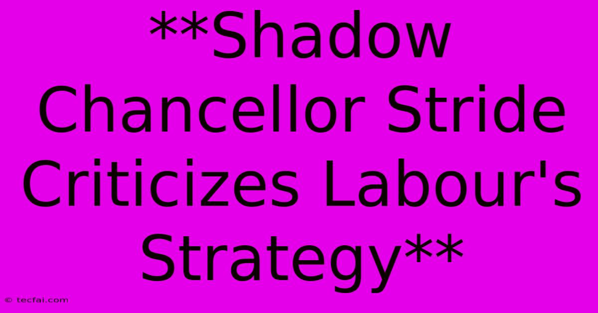 **Shadow Chancellor Stride Criticizes Labour's Strategy**