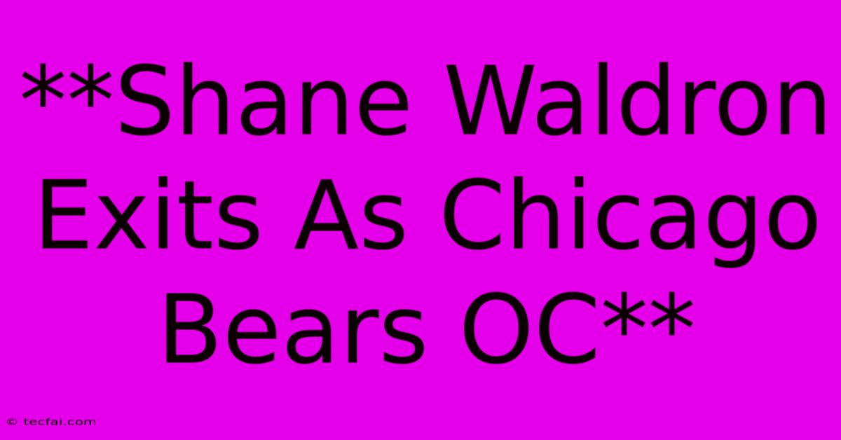 **Shane Waldron Exits As Chicago Bears OC** 