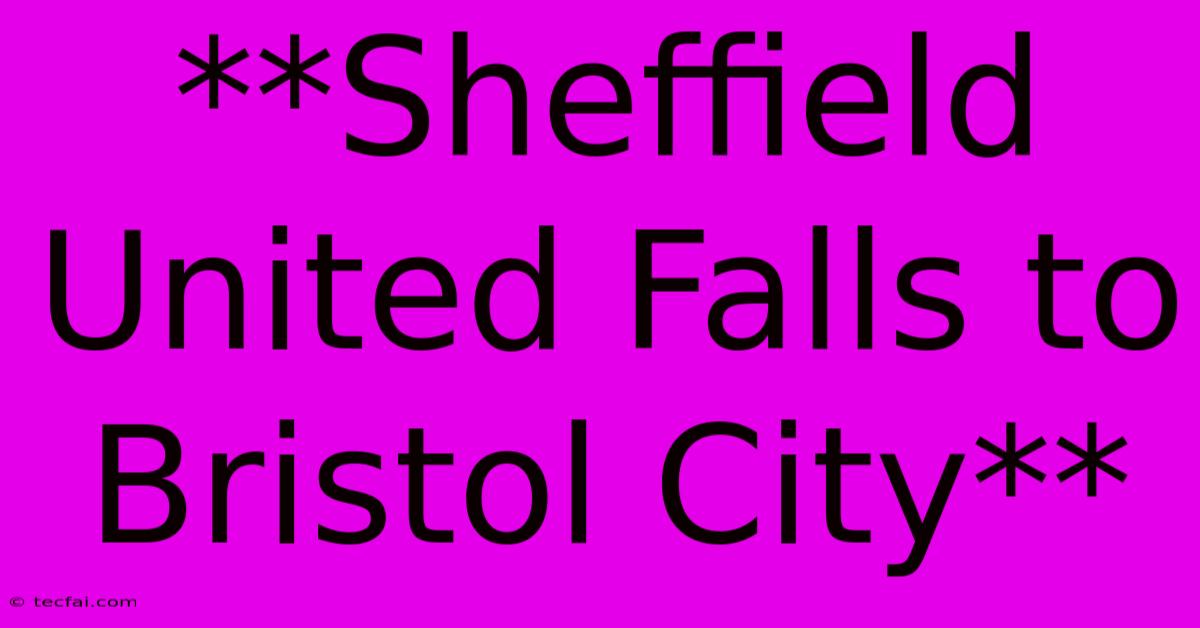 **Sheffield United Falls To Bristol City** 