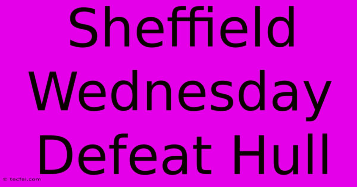 Sheffield Wednesday Defeat Hull