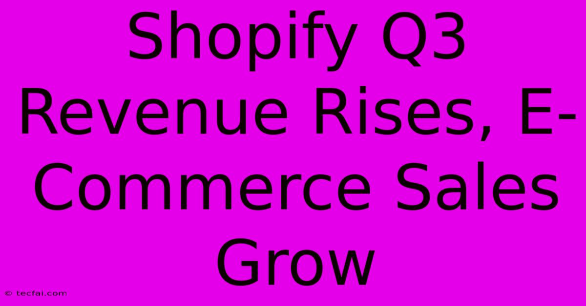 Shopify Q3 Revenue Rises, E-Commerce Sales Grow