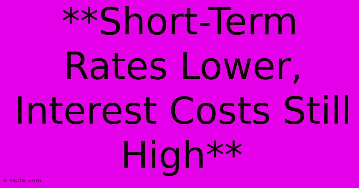 **Short-Term Rates Lower, Interest Costs Still High**