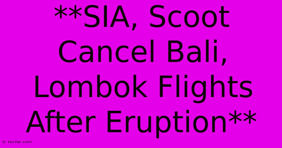 **SIA, Scoot Cancel Bali, Lombok Flights After Eruption**