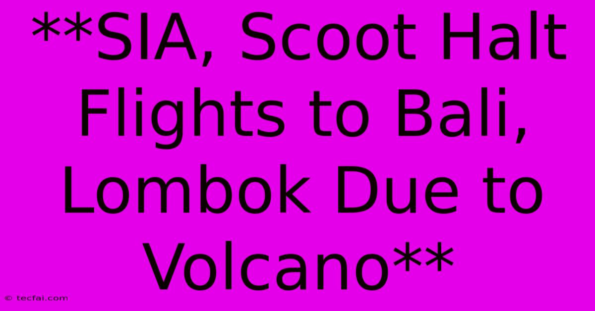 **SIA, Scoot Halt Flights To Bali, Lombok Due To Volcano**