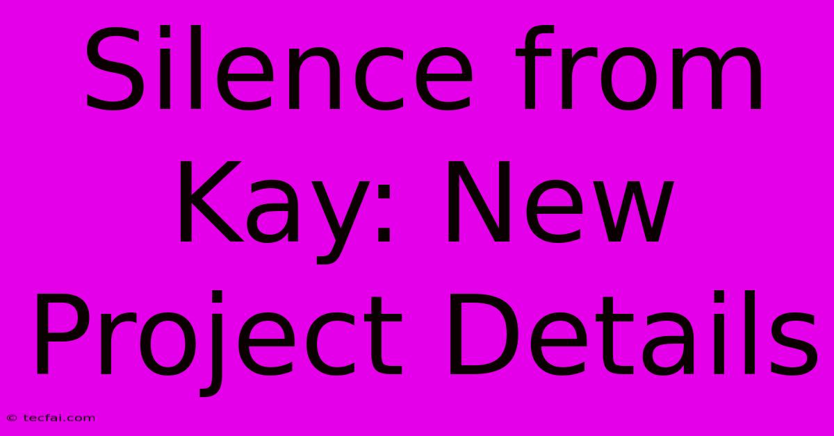 Silence From Kay: New Project Details