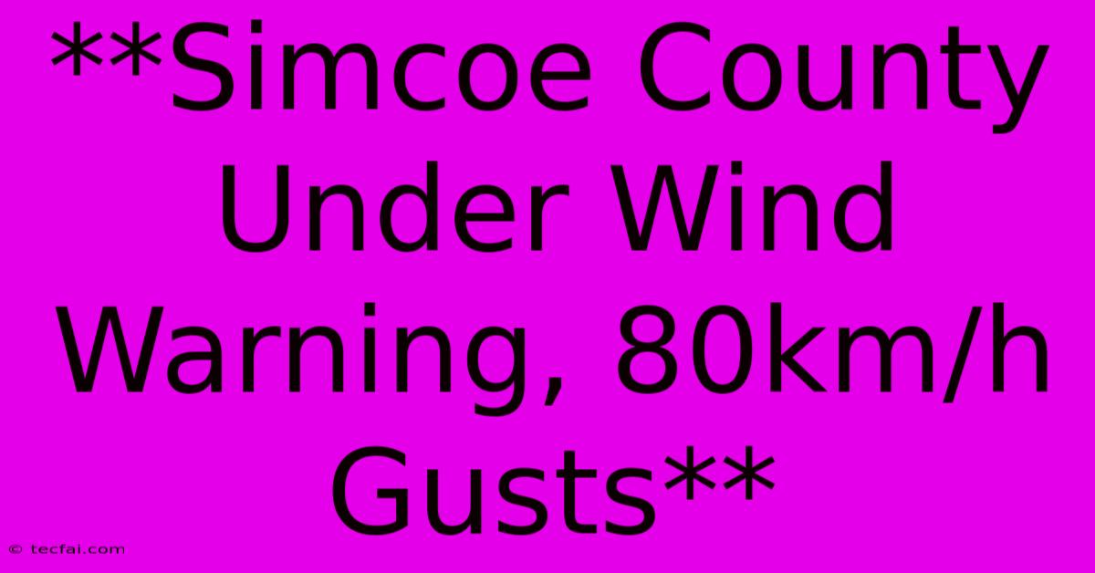 **Simcoe County Under Wind Warning, 80km/h Gusts**