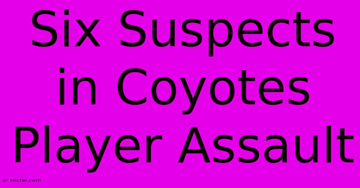 Six Suspects In Coyotes Player Assault