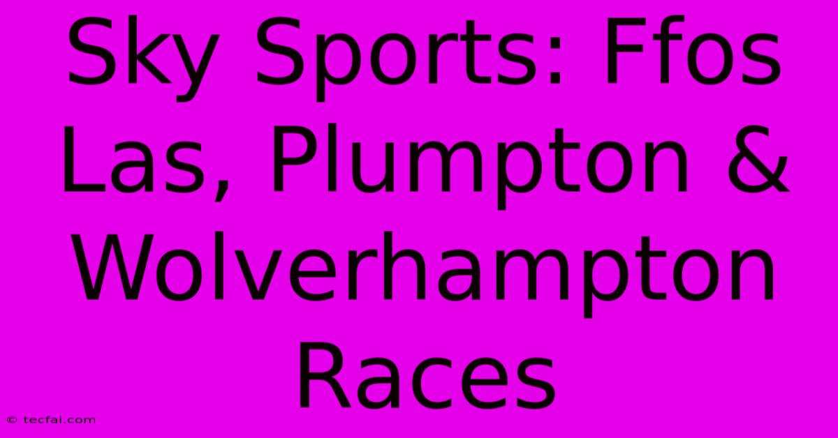 Sky Sports: Ffos Las, Plumpton & Wolverhampton Races