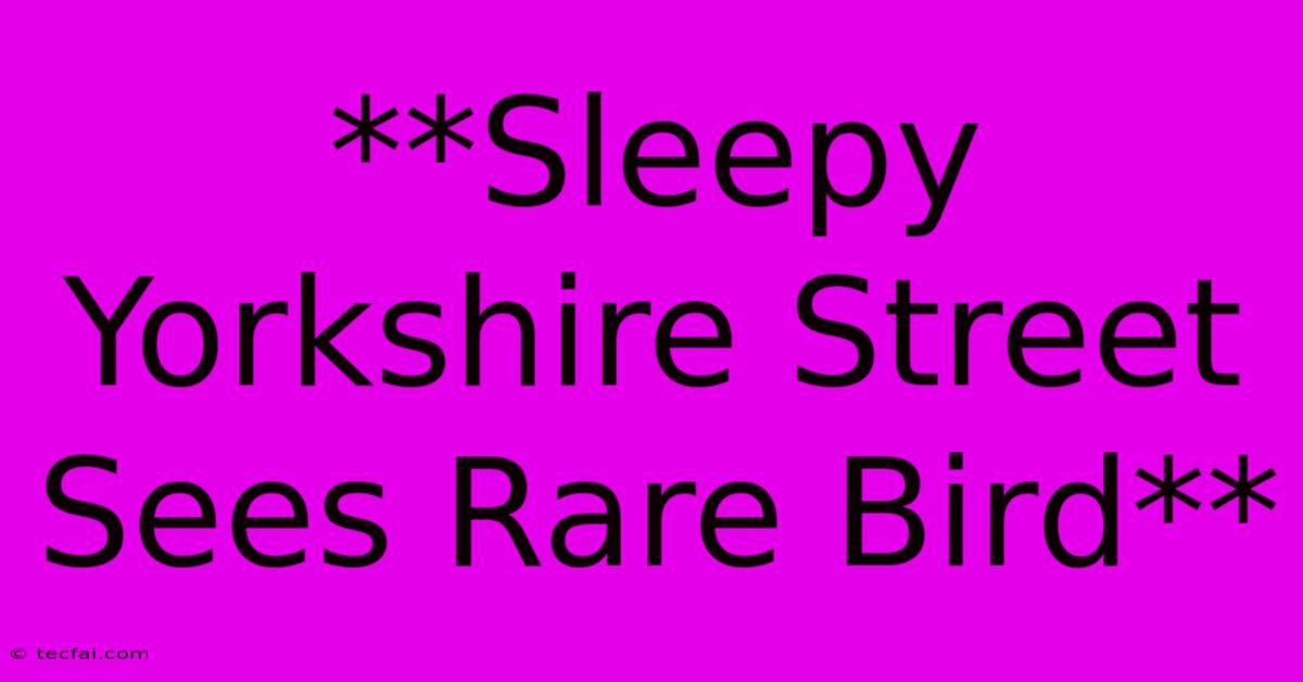 **Sleepy Yorkshire Street Sees Rare Bird**