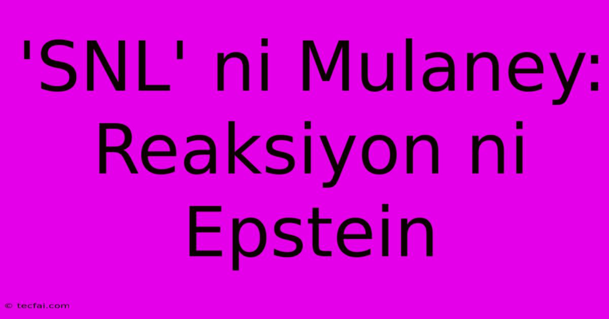 'SNL' Ni Mulaney: Reaksiyon Ni Epstein