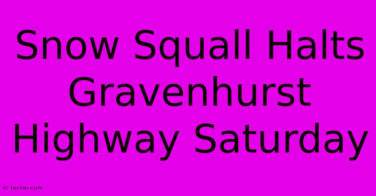 Snow Squall Halts Gravenhurst Highway Saturday