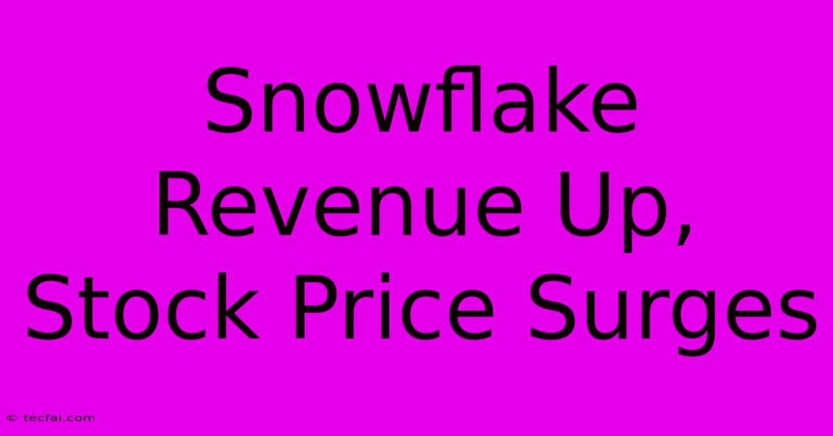 Snowflake Revenue Up, Stock Price Surges