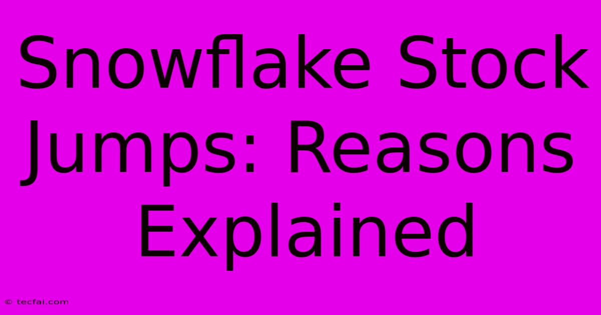 Snowflake Stock Jumps: Reasons Explained