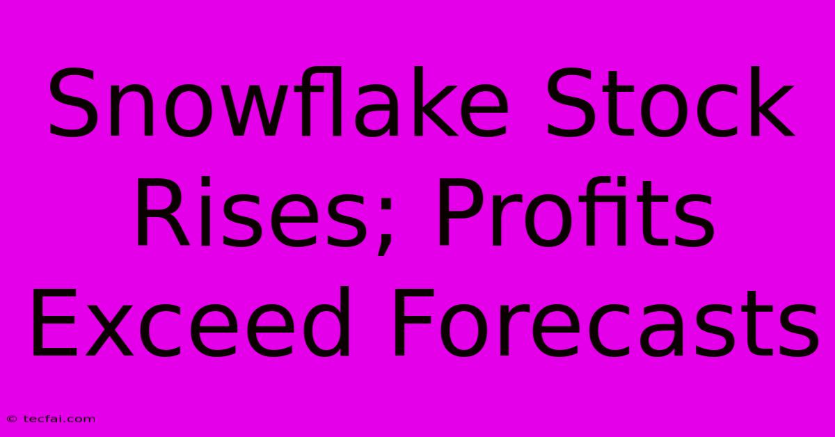 Snowflake Stock Rises; Profits Exceed Forecasts