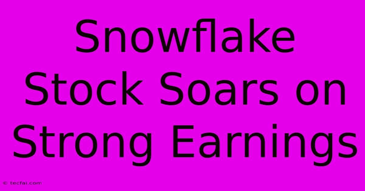 Snowflake Stock Soars On Strong Earnings