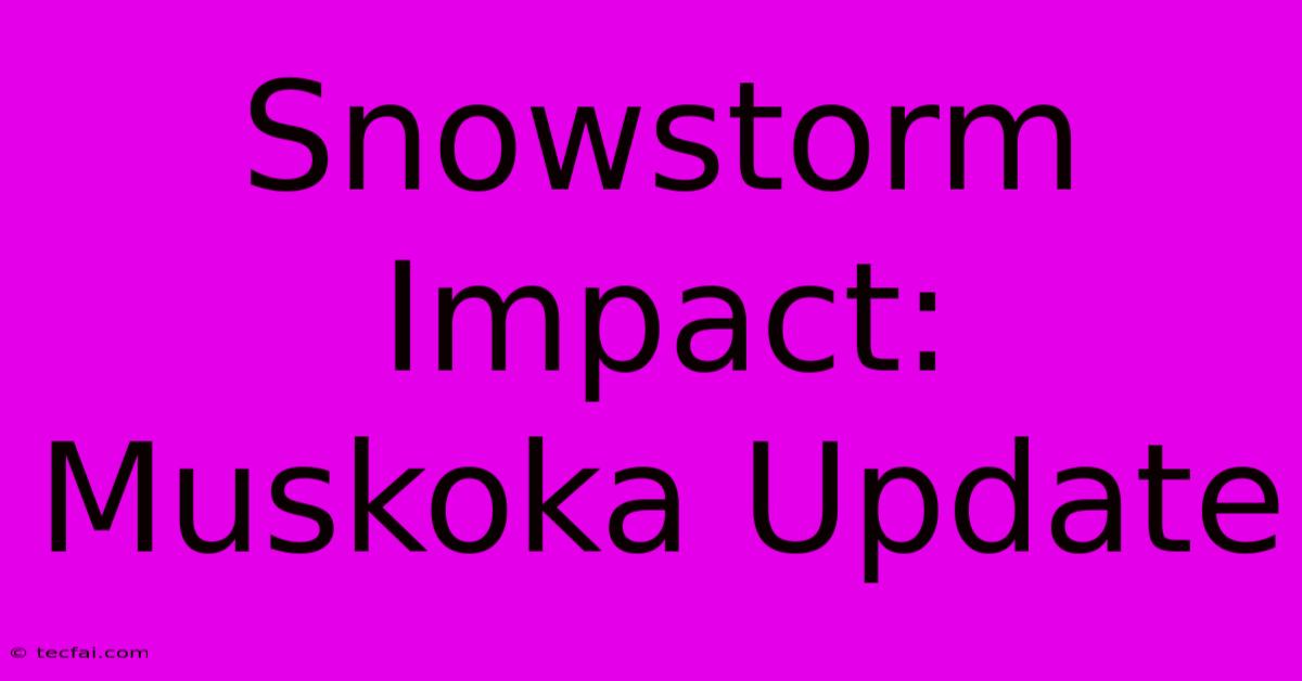 Snowstorm Impact: Muskoka Update