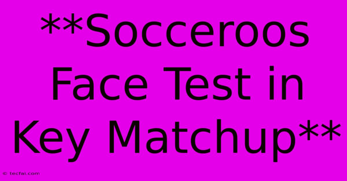 **Socceroos Face Test In Key Matchup**