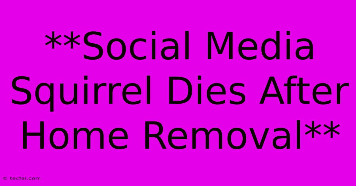 **Social Media Squirrel Dies After Home Removal** 