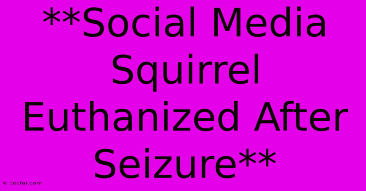 **Social Media Squirrel Euthanized After Seizure**