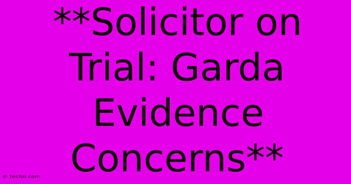 **Solicitor On Trial: Garda Evidence Concerns** 