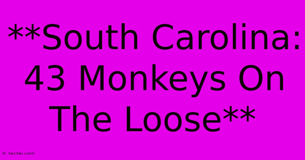 **South Carolina: 43 Monkeys On The Loose** 