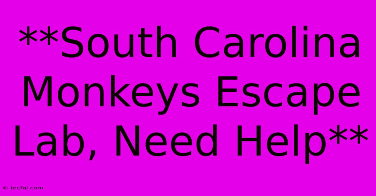 **South Carolina Monkeys Escape Lab, Need Help**