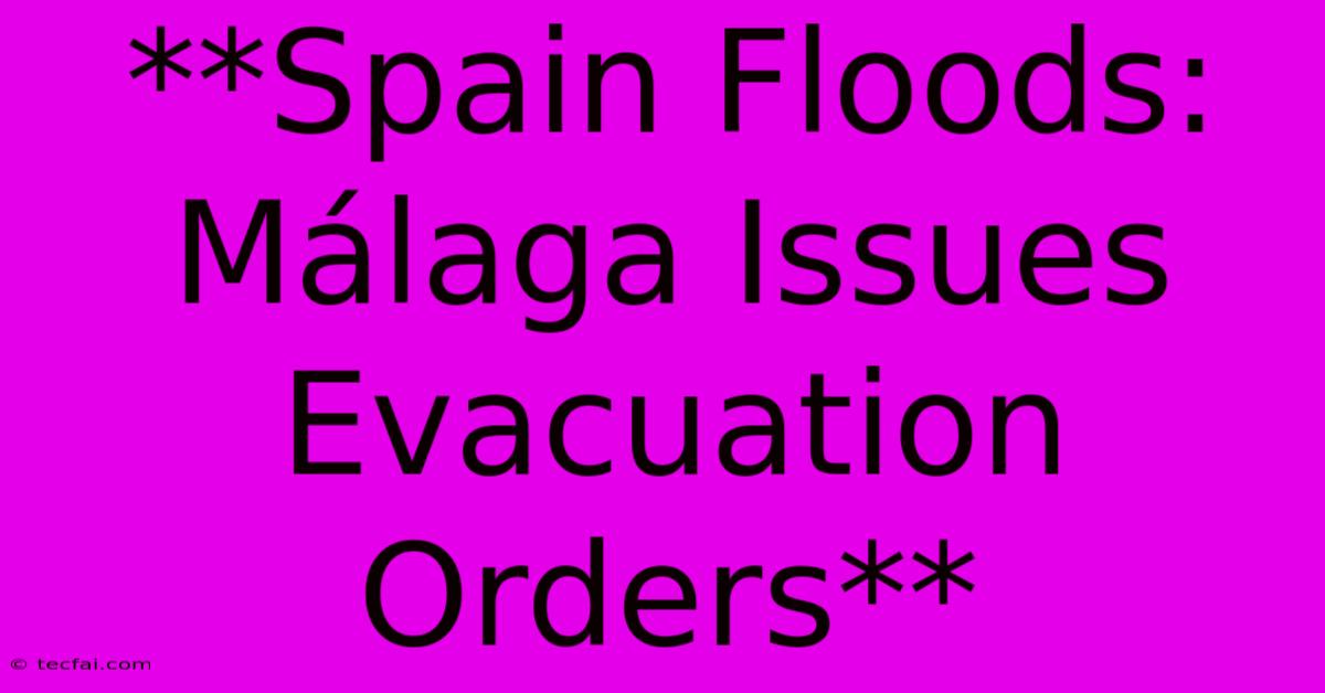 **Spain Floods: Málaga Issues Evacuation Orders**