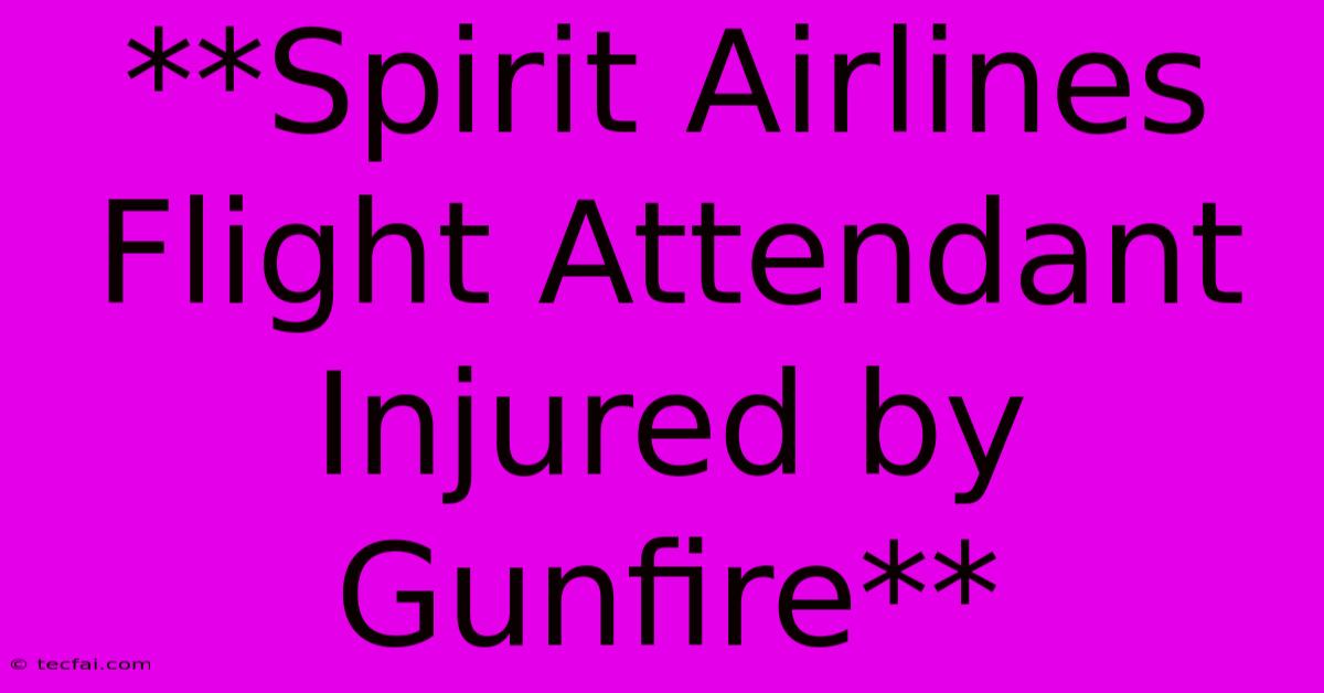 **Spirit Airlines Flight Attendant Injured By Gunfire**