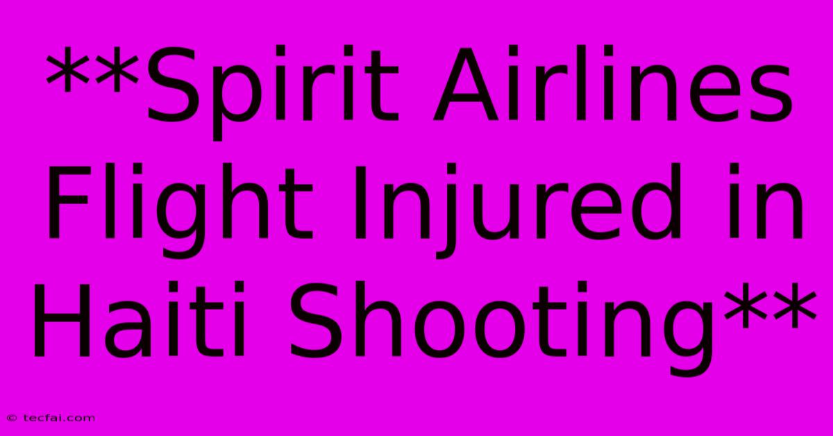 **Spirit Airlines Flight Injured In Haiti Shooting**