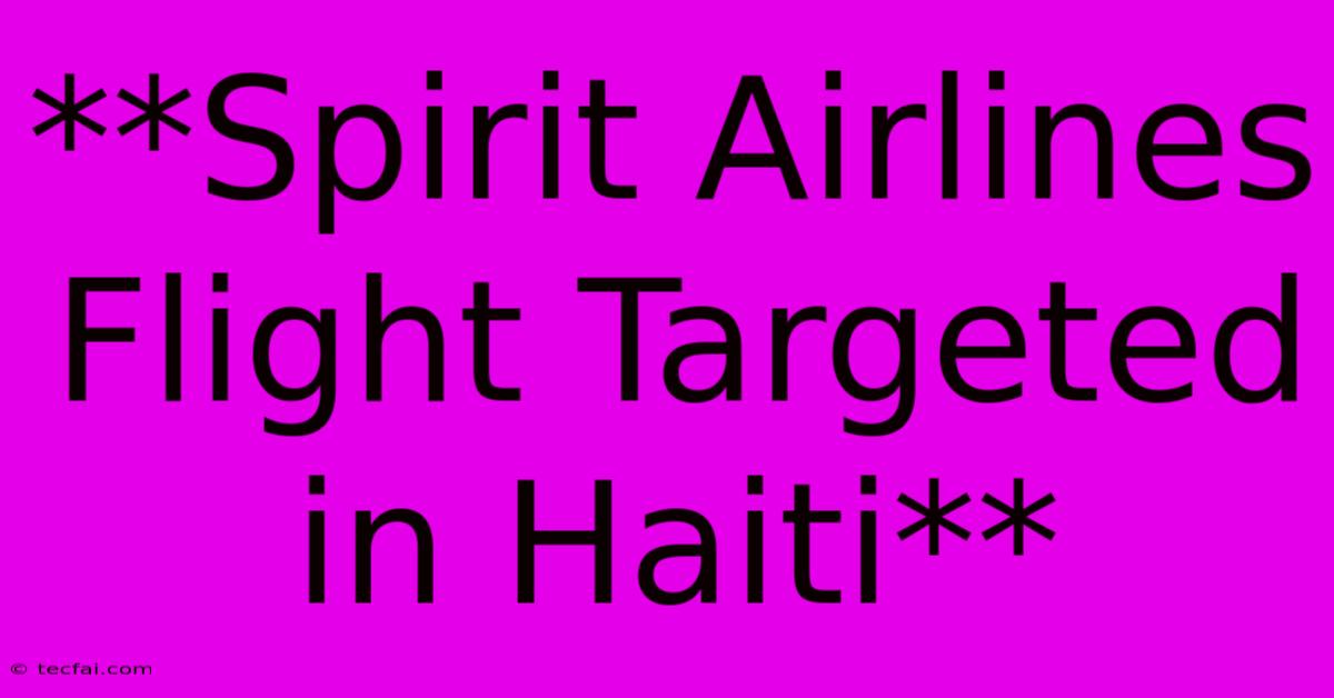 **Spirit Airlines Flight Targeted In Haiti**