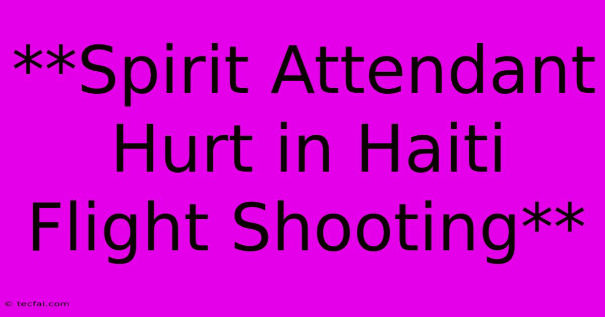 **Spirit Attendant Hurt In Haiti Flight Shooting**