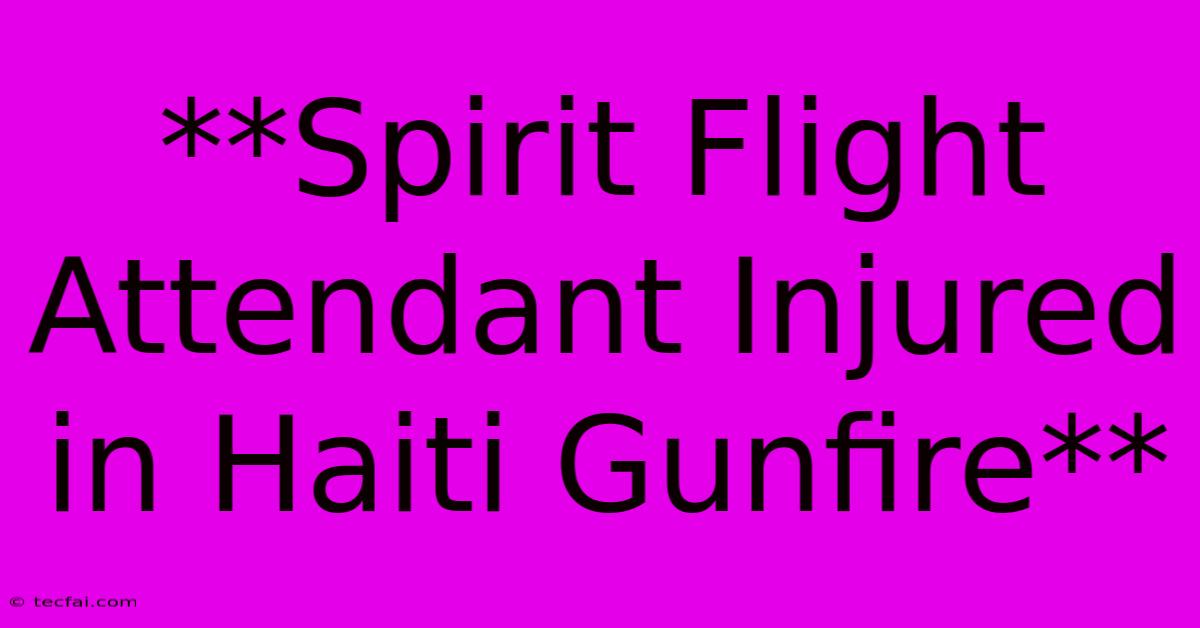 **Spirit Flight Attendant Injured In Haiti Gunfire**