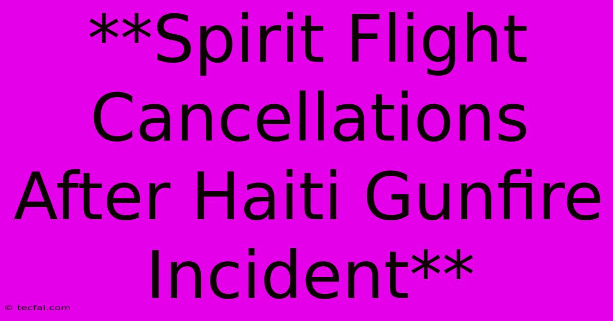 **Spirit Flight Cancellations After Haiti Gunfire Incident**